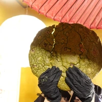 画像293
